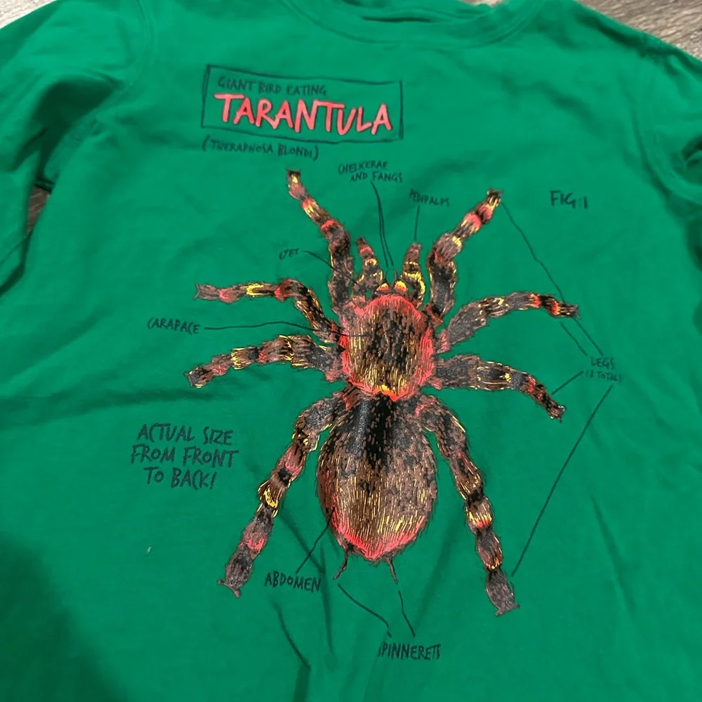 Lands End Tarantula Small 8 Long Sleeve in Green - Picture 4 of 4